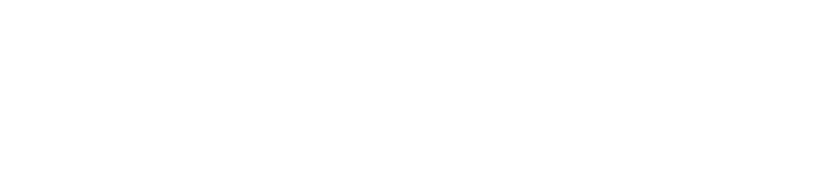 Hayes Health Services
